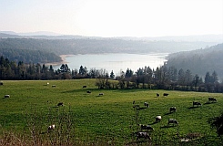 lac de Vouglans - Barésia