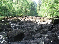 source de l'Ain - 2003 - sécheresse