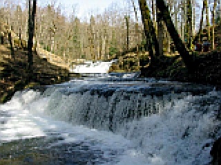 cascade, herisson